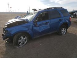 Salvage cars for sale at Greenwood, NE auction: 2011 Ford Escape XLT