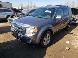 Salvage cars for sale from Copart Elgin, IL: 2010 Ford Escape Limited