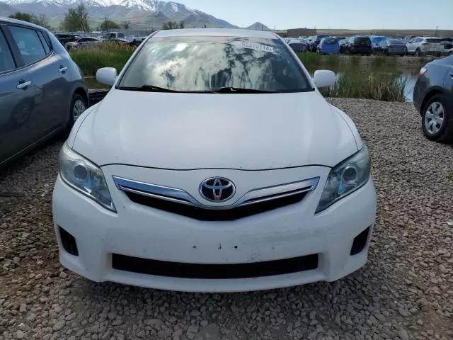 2010 Toyota Camry Hybrid