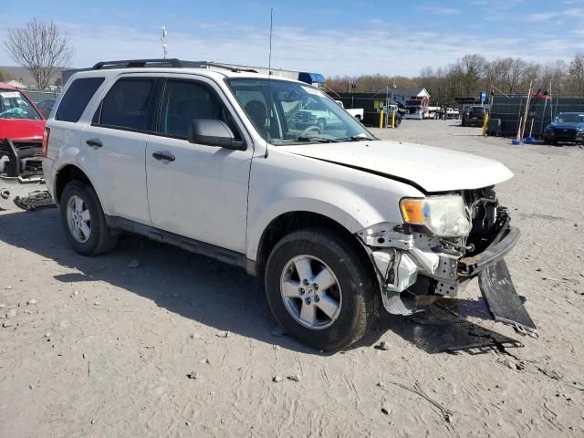 2009 Ford Escape XLT