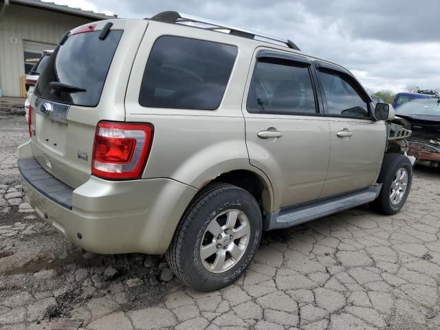 2010 Ford Escape Limited