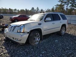Salvage cars for sale at Windham, ME auction: 2011 Cadillac Escalade Premium