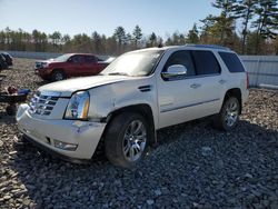 Cadillac Escalade Premium salvage cars for sale: 2011 Cadillac Escalade Premium