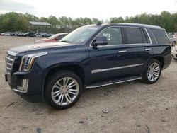 Salvage cars for sale at Charles City, VA auction: 2020 Cadillac Escalade Luxury