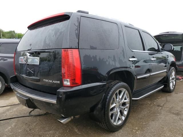 2011 Cadillac Escalade Luxury