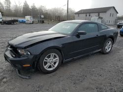 Salvage cars for sale at York Haven, PA auction: 2012 Ford Mustang