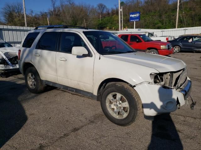 2011 Ford Escape Limited