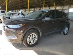 Salvage cars for sale at Phoenix, AZ auction: 2023 Ford Escape Active