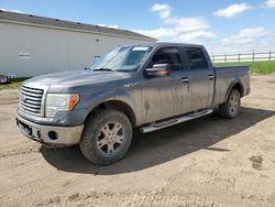 Salvage trucks for sale at Portland, MI auction: 2010 Ford F150 Supercrew