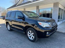 Lexus GX salvage cars for sale: 2010 Lexus GX 460