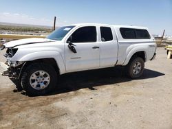 Salvage trucks for sale at Albuquerque, NM auction: 2013 Toyota Tacoma