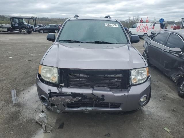 2008 Ford Escape XLT