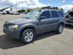Salvage cars for sale at Denver, CO auction: 2006 Ford Escape HEV