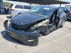 Vehiculos salvage en venta de Copart Hayward, CA: 2024 Tesla Model Y