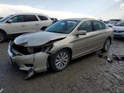 Salvage cars for sale at Earlington, KY auction: 2013 Honda Accord EXL