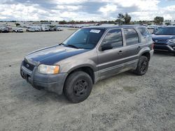 Ford Escape XLS salvage cars for sale: 2004 Ford Escape XLS