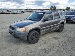 Ford Escape Vehiculos salvage en venta: 2004 Ford Escape XLS