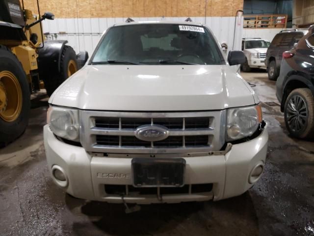 2008 Ford Escape XLT