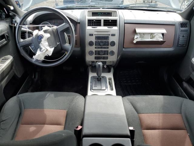 2008 Ford Escape XLT