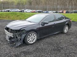 Toyota Camry L salvage cars for sale: 2019 Toyota Camry L