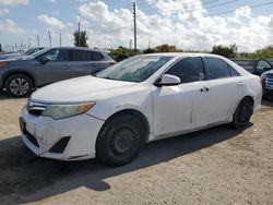 Salvage cars for sale at Miami, FL auction: 2012 Toyota Camry Base