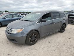 Salvage cars for sale at San Antonio, TX auction: 2013 Honda Odyssey LX