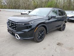 Salvage cars for sale at Glassboro, NJ auction: 2024 Honda CR-V Sport Touring