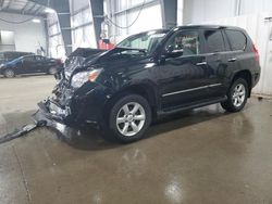 Salvage cars for sale at Ham Lake, MN auction: 2013 Lexus GX 460