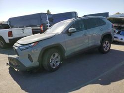 Toyota Rav4 XLE salvage cars for sale: 2022 Toyota Rav4 XLE