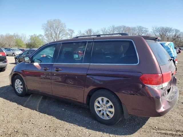 2008 Honda Odyssey EXL