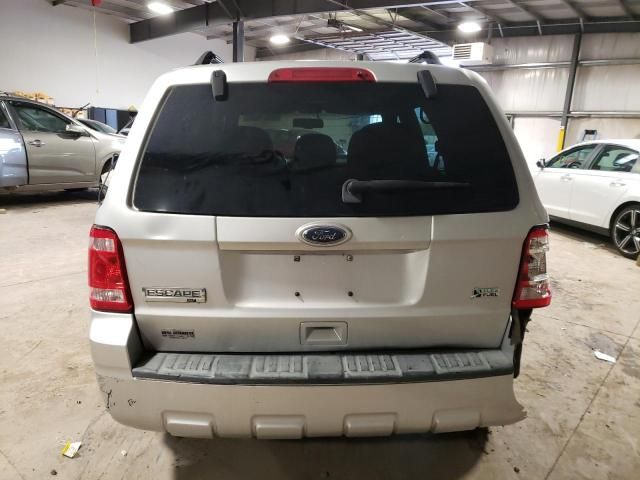 2010 Ford Escape XLT