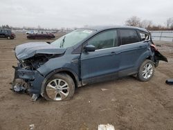 Salvage cars for sale from Copart Ontario Auction, ON: 2019 Ford Escape SE