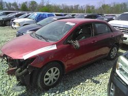 Salvage cars for sale at Wichita, KS auction: 2011 Toyota Corolla Base