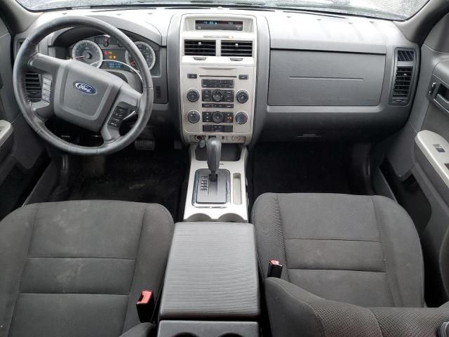 2009 Ford Escape XLT