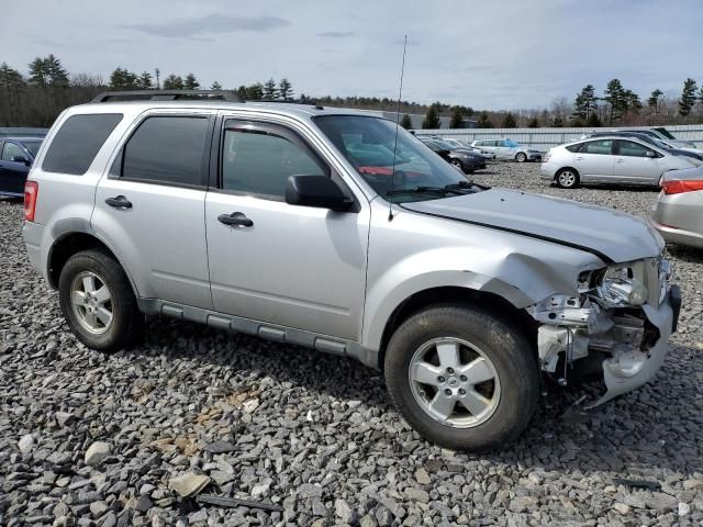 2011 Ford Escape XLT