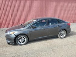 Salvage cars for sale from Copart Ontario Auction, ON: 2015 Ford Focus SE