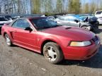 1999 Ford Mustang GT