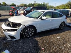 Honda Civic EXL Vehiculos salvage en venta: 2023 Honda Civic EXL