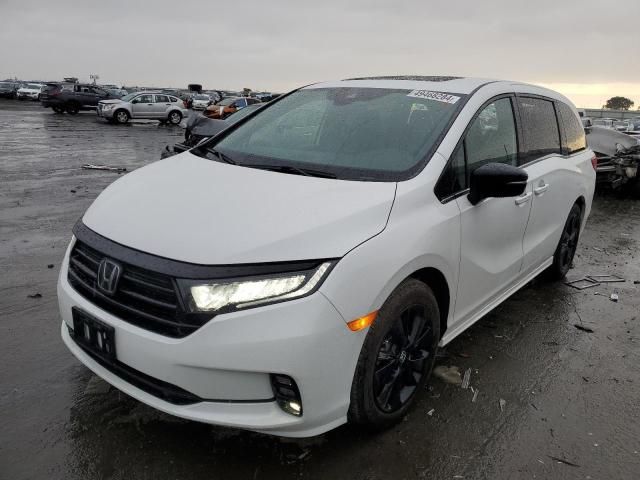 2024 Honda Odyssey Sport