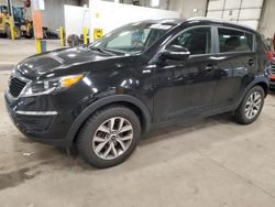 Salvage cars for sale from Copart Blaine, MN: 2015 KIA Sportage LX