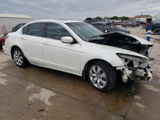 2009 Honda Accord EXL