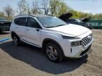 2023 Hyundai Santa FE SEL Premium