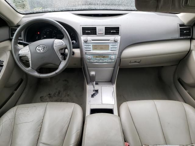 2009 Toyota Camry Hybrid