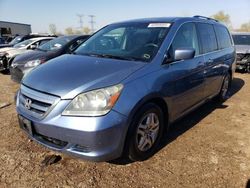 Salvage cars for sale at Elgin, IL auction: 2006 Honda Odyssey EX