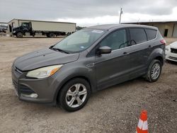 Vehiculos salvage en venta de Copart Temple, TX: 2014 Ford Escape SE