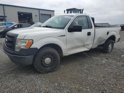Salvage cars for sale at Earlington, KY auction: 2013 Ford F150