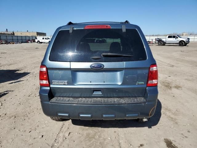 2011 Ford Escape XLT