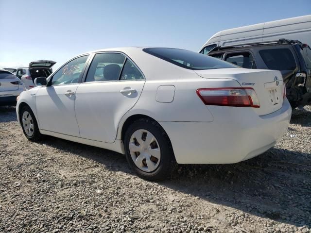 2008 Toyota Camry Hybrid