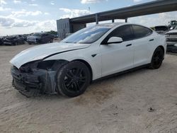 Salvage cars for sale at West Palm Beach, FL auction: 2013 Tesla Model S