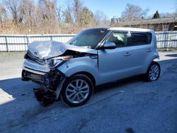 Salvage cars for sale from Copart Albany, NY: 2017 KIA Soul +